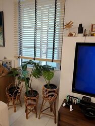 Villa De West (D5), Condominium #574203831